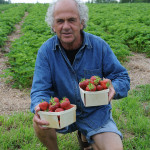 Ronald Goguen champ de fraises